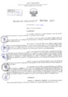Vista preliminar de documento Resolución Directoral. Nº 1729 - 2023 