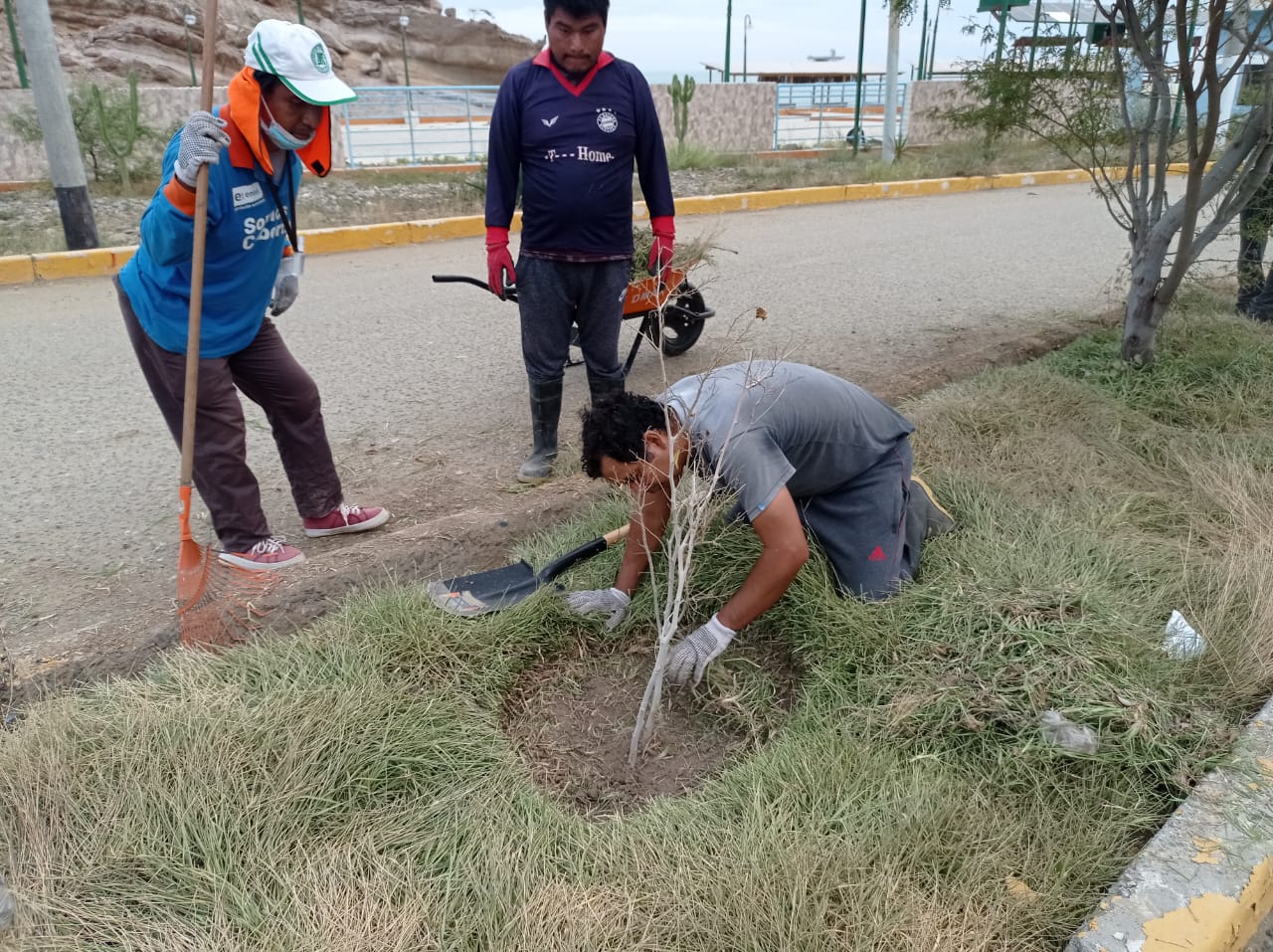 Nuestra Caleta de Cabo Blanco se mantiene limpia y saludable