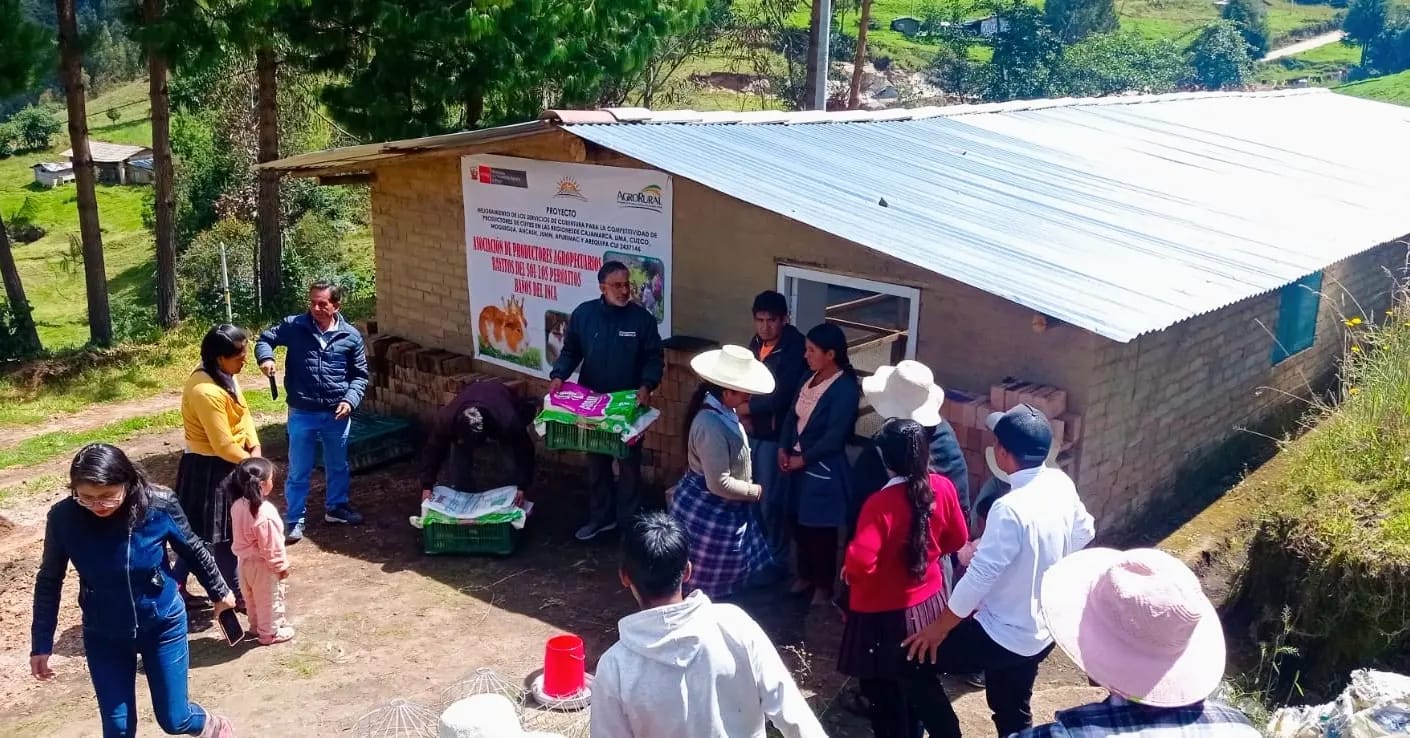 Módulos reproductores de cuyes - Cajamarca