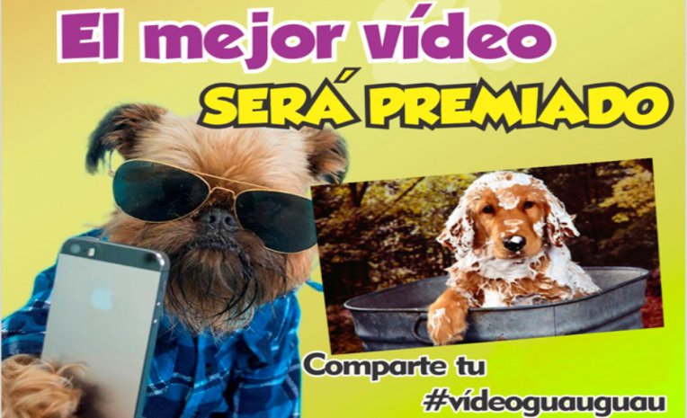 Foto de la reunión 1