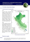 Vista preliminar de documento palto_monitoreo_2may23