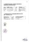 Vista preliminar de documento COMITE DE VIGILANCIA 2024
