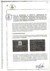 Vista preliminar de documento PROYECTOS PRIORIZADOS PPR 2024