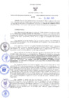 Vista preliminar de documento RES-437-2023-GRDS