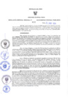 Vista preliminar de documento RES-442-2023-GRDS