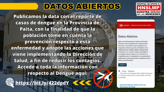 datos abiertos hnslmp