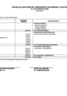 Vista preliminar de documento Ejecucion presupuestal - enero 2020