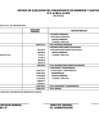 Vista preliminar de documento Ejecucion presupuestal - marzo 2020