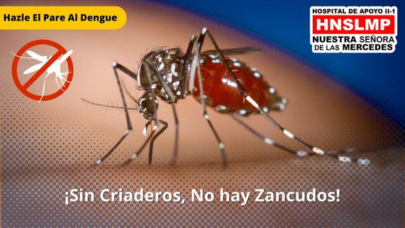DENGUE