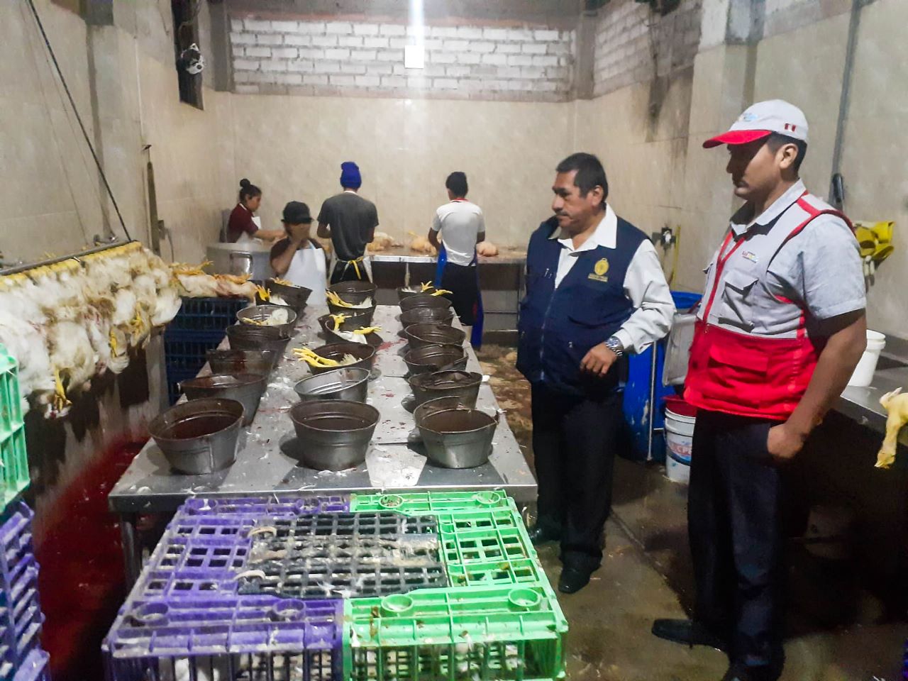 Avícola que ponía en riesgo a sus trabajadores fue cerrada por la Municipalidad de SJL