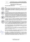 Vista preliminar de documento 024-2023-DIRESA-OGESS-HC-DG