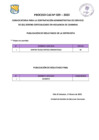 Vista preliminar de documento Resultado - Proceso CAS N°029-2023
