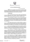Vista preliminar de documento RD N° 028-2023-DGPRCS