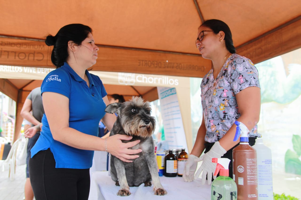 Mascotas se atendieron gratuitamente en la Paradita
