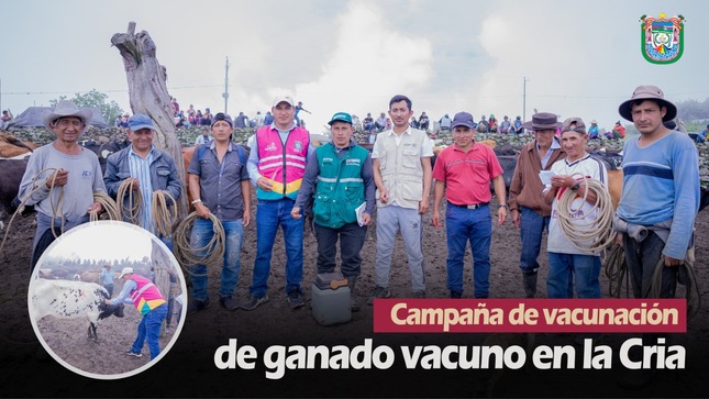  𝐌unicipalidad  𝐑ealiza 𝐂ampaña de 𝐕acunación  de 𝐆anado 𝐕acuno  en la  𝐂ría.