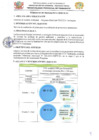 Vista preliminar de documento TDR