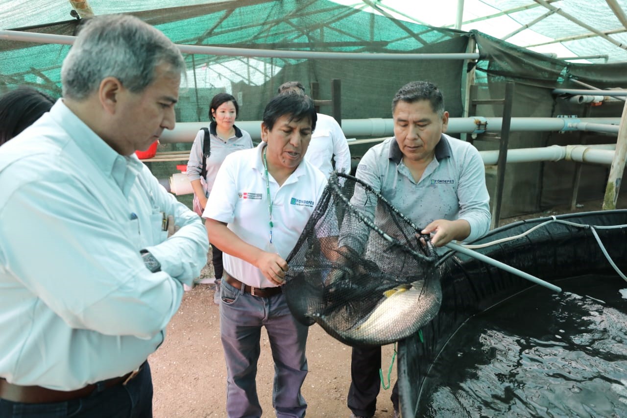 Produce: Entrega y marcha blanca del DPA Ilo empezará el 31 de mayo y durará tres meses