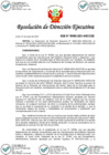 Vista preliminar de documento RDE N°00065-2021-ARCC-DE