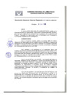 Vista preliminar de documento Resolución Gerencial General RegionalAmK1P