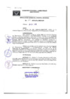 Vista preliminar de documento Resolución Gerencial General RegionalrRos0