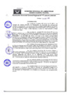 Vista preliminar de documento Resolución Gerencial General Regional81Ytj