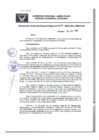 Vista preliminar de documento Resolución Gerencial General RegionalCC42Y