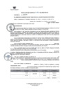 Vista preliminar de documento RG. 154-2023-MSB-GM-GAT