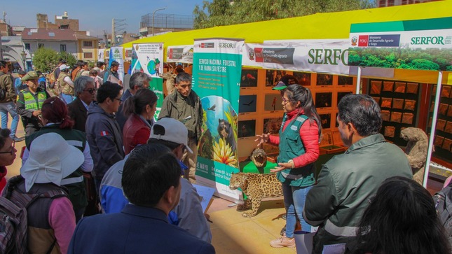 Junín-Huancavelica