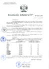 Vista preliminar de documento Resolución Jefatural N.° 307-2021-INEI
