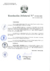 Vista preliminar de documento Resolución Jefatural N.° 310-2021-INEI