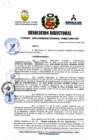 Vista preliminar de documento RD 0003-2023 DESIGNAR A LA ABOG. SANCHEZ ANTON VIVIANA COMO JEFE DE ADQUISICIONES