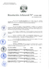 Vista preliminar de documento Resolución Jefatural N.° 313-2021-INEI