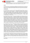 Vista preliminar de documento RG121