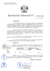Vista preliminar de documento Resolución Jefatural N.° 019-2022-INEI