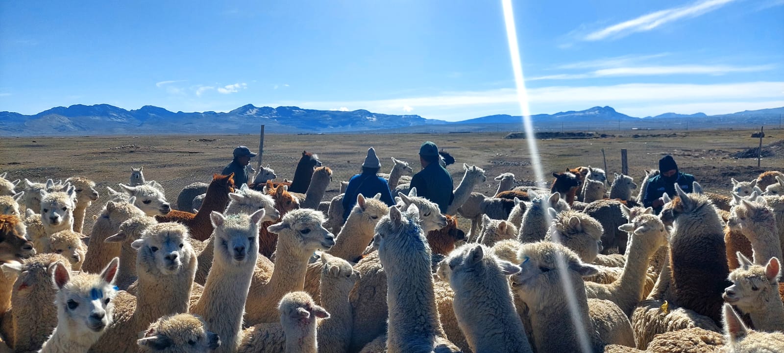 Supervisión - Puno