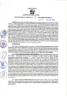 Vista preliminar de documento RGSR N 110