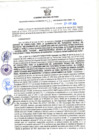 Vista preliminar de documento RGSR N 114
