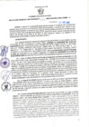 Vista preliminar de documento RGSR N 115
