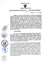 Vista preliminar de documento RGSR N 118