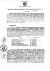 Vista preliminar de documento RGSR N 121