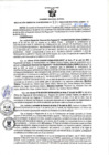 Vista preliminar de documento RGSR N 130