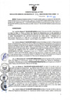 Vista preliminar de documento RGSR N 131