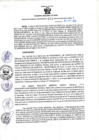 Vista preliminar de documento RGSR N 133