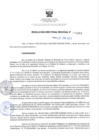 Vista preliminar de documento RESOLUCIÓN DIRECTORAL REGIONAL N° 0010024XnHf