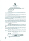 Vista preliminar de documento RESOLUCIÓN DIRECTORAL REGIONAL N° 002451qlFq9