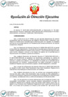 Vista preliminar de documento RDE N°00089-2021-ARCC-DE