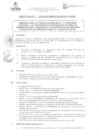 Vista preliminar de documento DIRECTIVA Nº 077-2012-DGP-DRSET/GOB.REG.TACNA8Qgg3