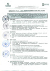 Vista preliminar de documento DIRECTIVA Nº 078-2012-UPER-OAD-DRSET/GOB.REG.TACNAXTbzS