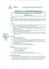Vista preliminar de documento DIRECTIVA N° 062-2013-DGP-DRSET/GOB.REG.TACNAYWu93