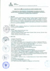 Vista preliminar de documento DIRECTIVA N° 06.2014-BS-UPER-OAD-DRSET/GOB.REG.TACNAOOs4V